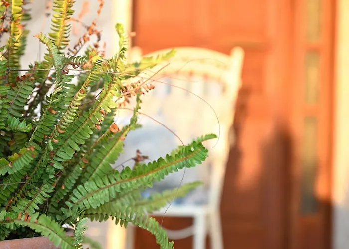 Sea View Gem Steps To Zia Square Hot Tub فيلة